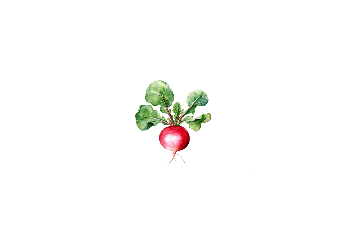 Watercolor Radish Throw Pillow | Cute Veggie Decorative Pillow | Kitchen Garden Gift