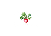 Thumbnail for Watercolor Radish Throw Pillow | Cute Veggie Decorative Pillow | Kitchen Garden Gift